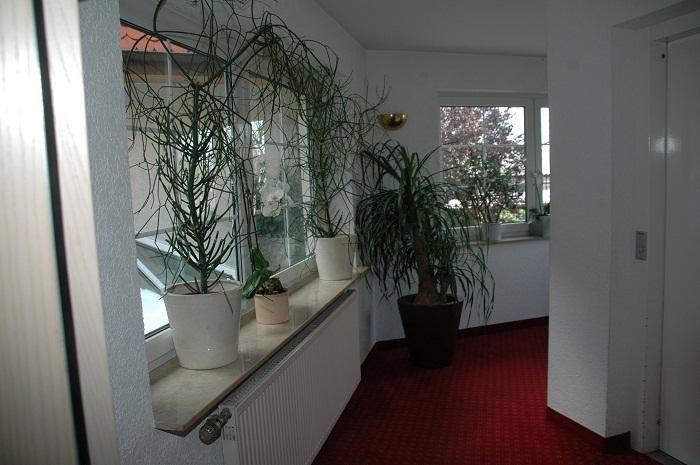 Mayers Waldhorn - Zwischen Reutlingen Und Tuebingen Kusterdingen Екстер'єр фото